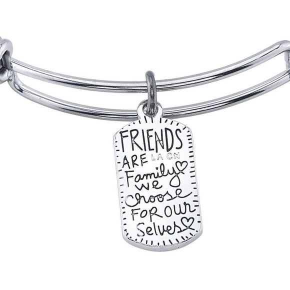 New! Friends Are Family We Choose Infinity Bracelet Silver Plated Charms NWT Box - Picture 2 of 12